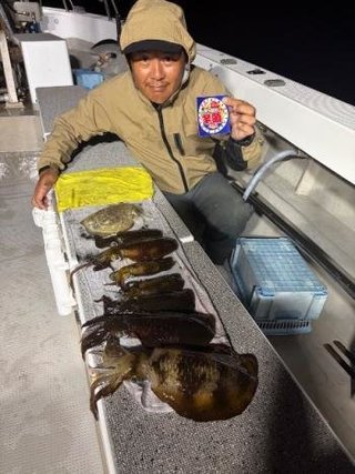 アオリイカ