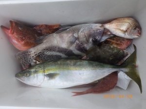 カワハギ