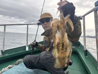 アオリイカ