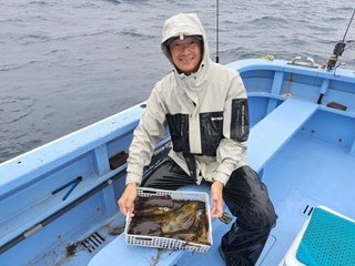 アオリイカ