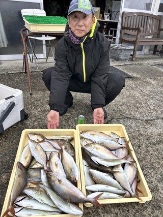 カンパチ
