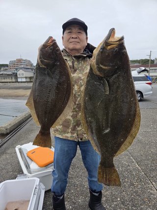 ヒラメ