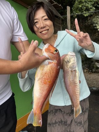 アカアマダイ