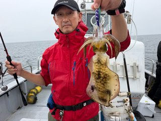 アオリイカ