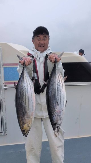 カツオ