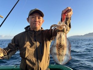 アオリイカ