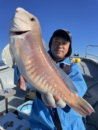 シロアマダイ