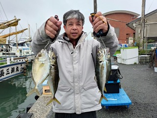 アジ