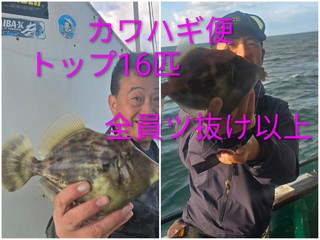 カワハギ