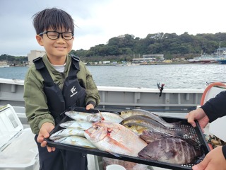 カイワリ