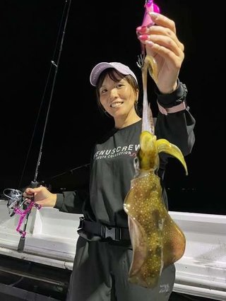 アオリイカ