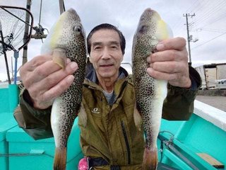 ショウサイフグ