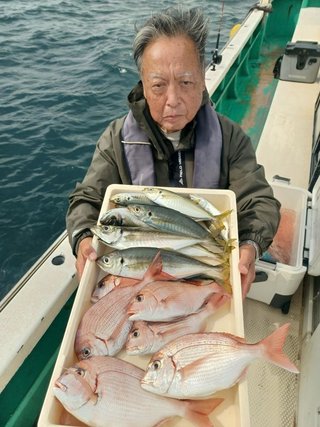 マダイ