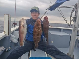 オウモンハタ