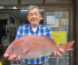 マダイ