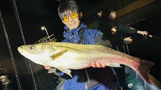 シーバス
