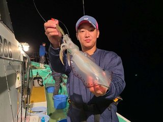 アオリイカ