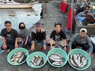 マダイ