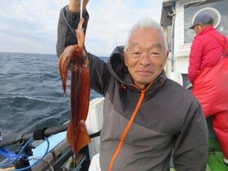 スルメイカ