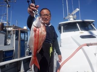 マダイ