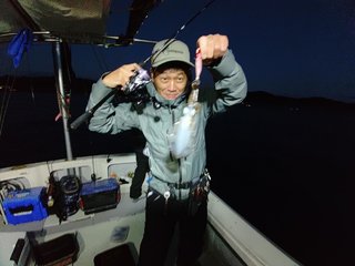 アオリ