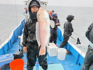 シロアマダイ