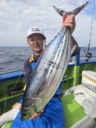 カツオ