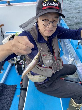 シロギス
