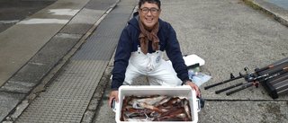 スルメイカ