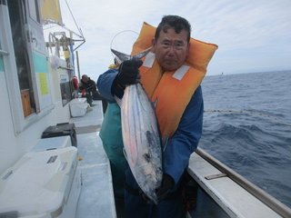 ホンガツオ