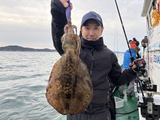 アオリイカ