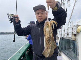 アオリイカ