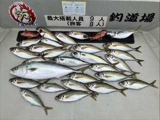アジ