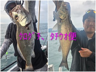 クログチ