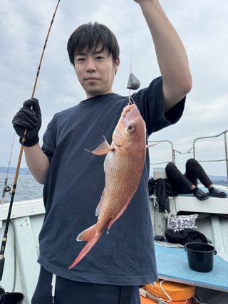 マダイ