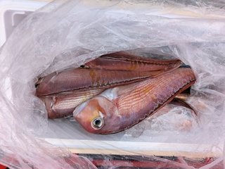 アマダイ