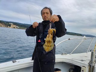アオリイカ