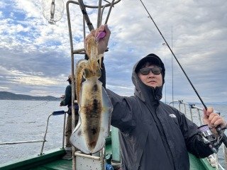 アオリイカ