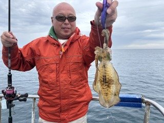 アオリイカ