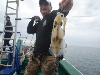アオリイカ