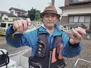 アジ