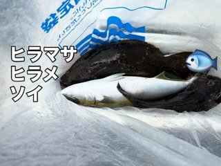 ヒラマサ