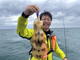 アオリイカ