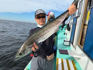 サワラ