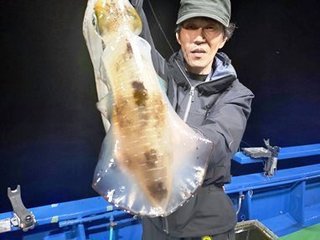 アオリイカ