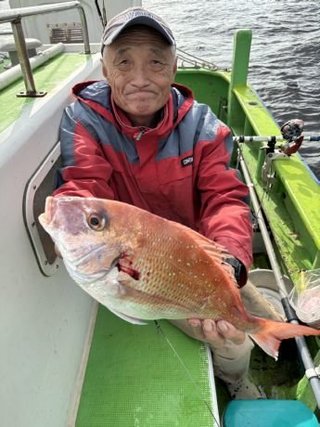 マダイ