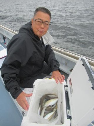 シロギス