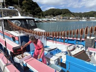 スルメイカ