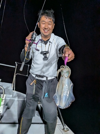 アオリイカ