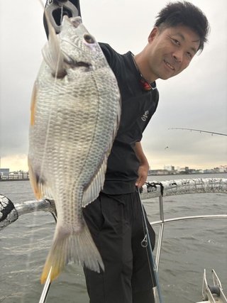 クロダイ